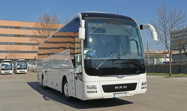 Northeastern: Buses operator in Kriva Palanka in Kriva Palanka and Macedonia
